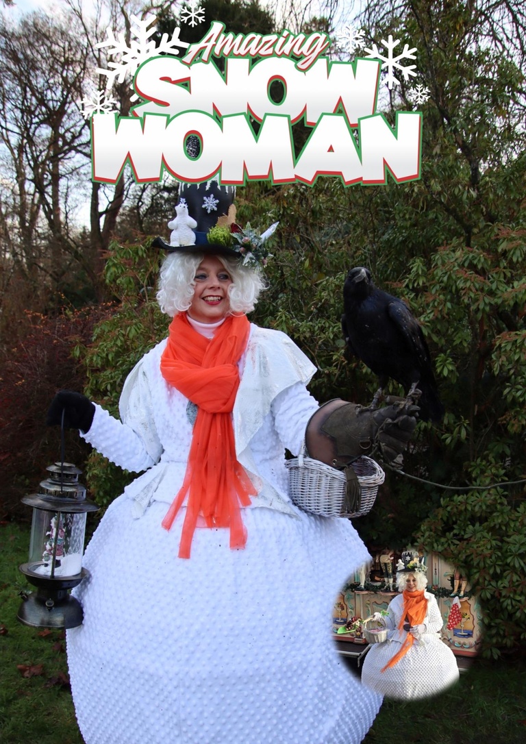 vrouwelijke sneeuwpop  of Amazing Snowwoman